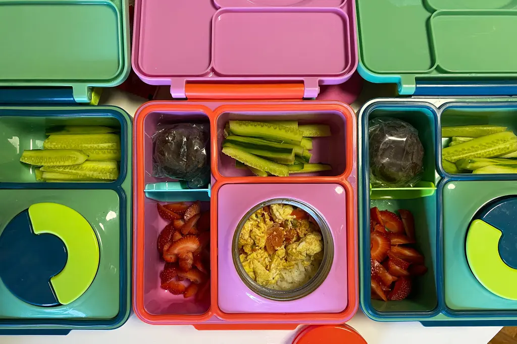 10 Best Eco Friendly Kids Lunch Box