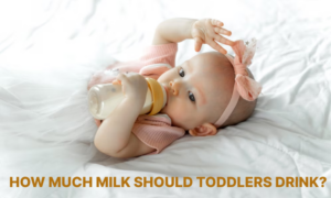 Toddler Milk
